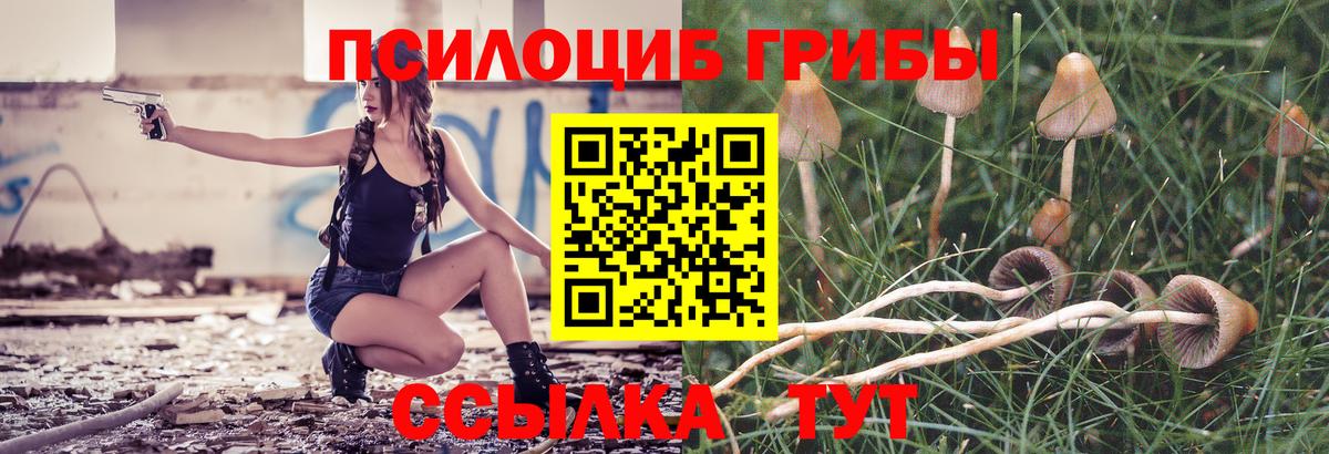 Псилоцибиновые грибы прущие грибы  Вход с VPN  Алейск  Галлюциногенные грибы Magic Shrooms 